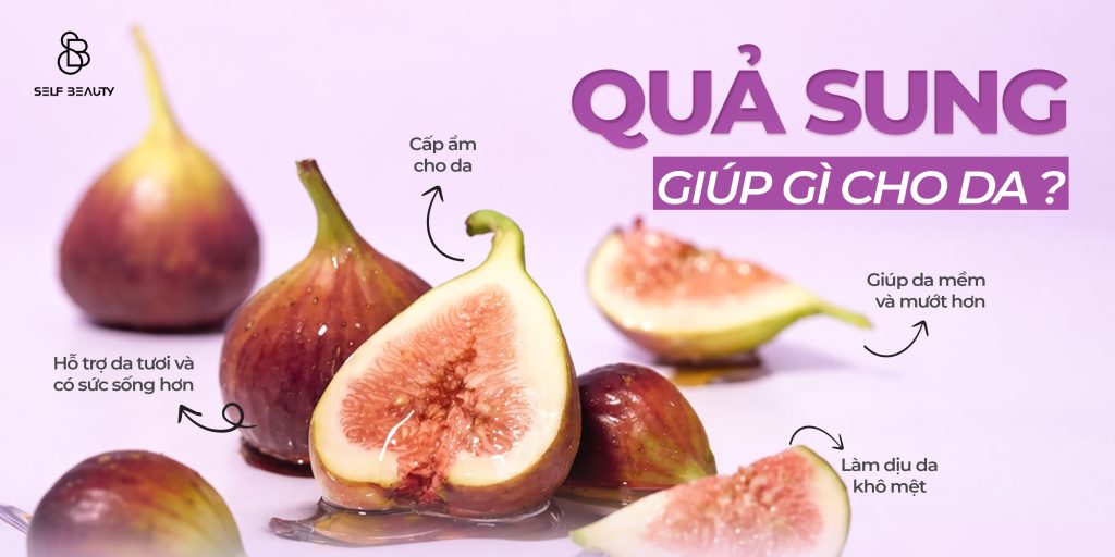 tinh chất quả sung